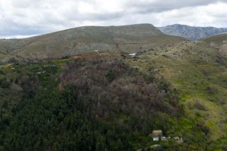 2.000 νέα δέντρα από το φυσικό μεταλλικό νερό ΒΙΚΟΣ σε Χίο και Βόρεια Εύβοια